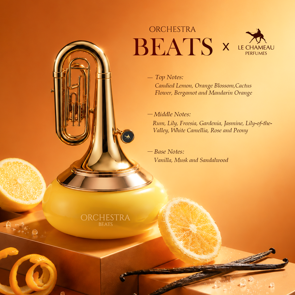 Orchestra Beats