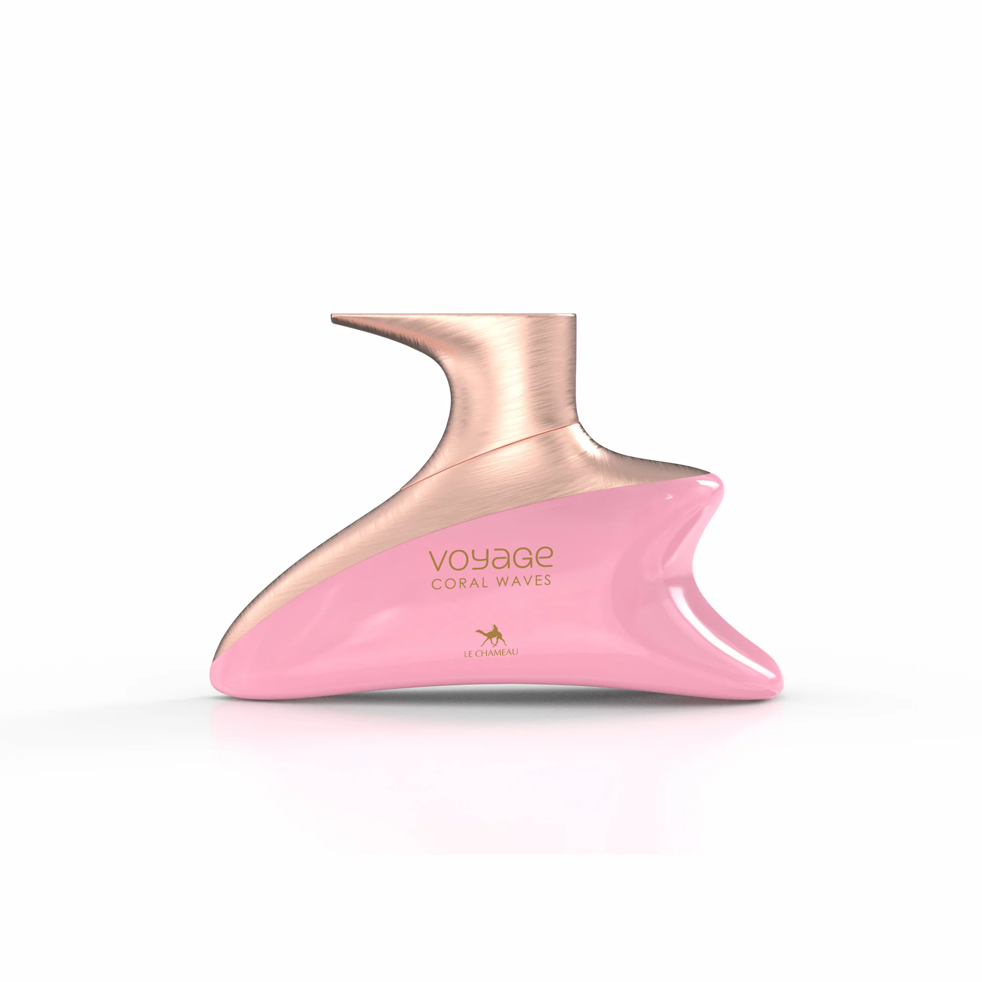 Voyage Coral Waves